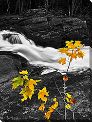 Fall River I